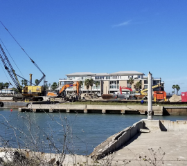 Screen Shot 2021-01-28 at 11.47.25 AM